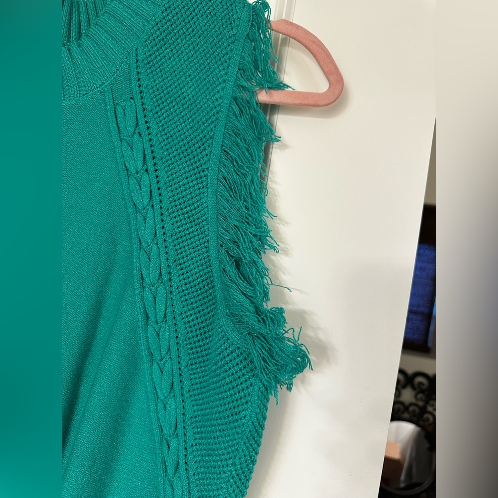 Sleeveless Fringe Sweater - Picture 10 of 12